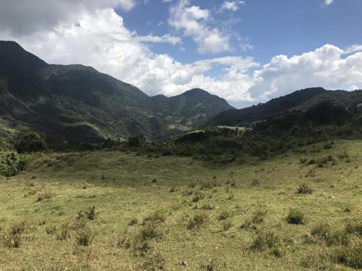 Lote en venta en Flandes, La Calera · foto 9 de 13