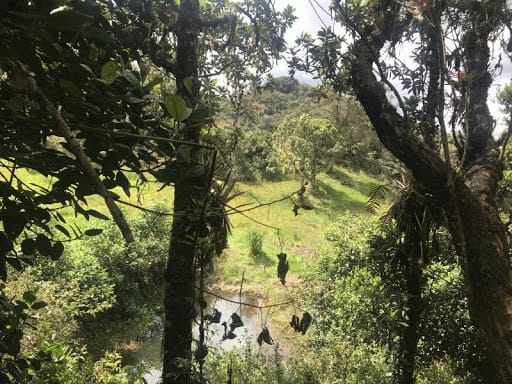 Lote en venta en Flandes, La Calera · foto 10 de 13