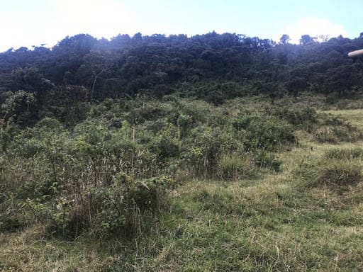 Lote en venta en Flandes, La Calera · foto 11 de 13