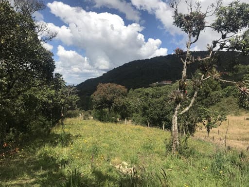 Lote en venta en Flandes, La Calera · foto 12 de 13
