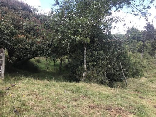 Lote en venta en Flandes, La Calera · foto 13 de 13