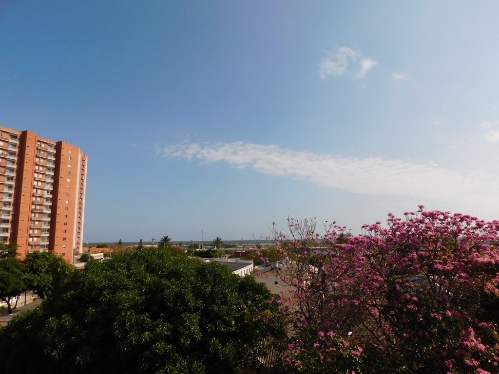 Apartamento en arriendo en Santa Ana, Barranquilla · foto 6 de 18