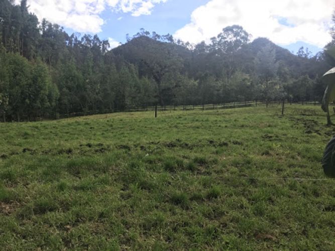 Lote en venta en Paso Real, La Calera, 64921 m² · foto 2 de 13