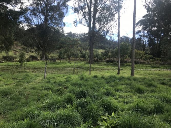 Lote en venta en Paso Real, La Calera, 64921 m² · foto 6 de 13