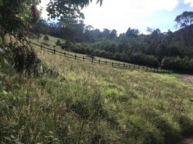 Lote en venta en Paso Real, La Calera, 64921 m² · foto 9 de 13