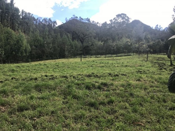 Lote en venta en Paso Real, La Calera, 64921 m² · foto 13 de 13