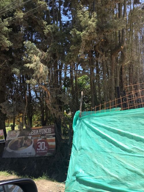 Lote en venta en La Estacion, Cajicá · foto 4 de 18