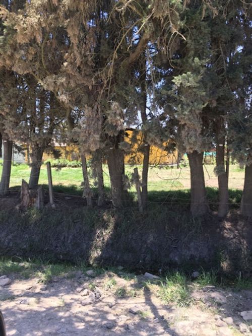 Lote en venta en La Estacion, Cajicá · foto 9 de 18