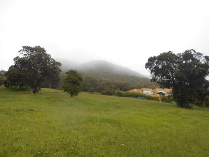 Lote en venta en Sindamanoy, Chía · foto 3 de 15
