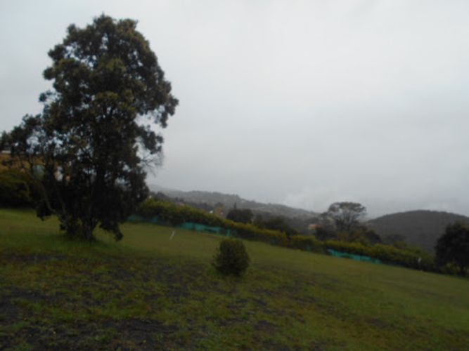 Lote en venta en Sindamanoy, Chía · foto 6 de 15