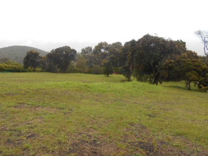 Lote en venta en Sindamanoy, Chía · foto 12 de 15