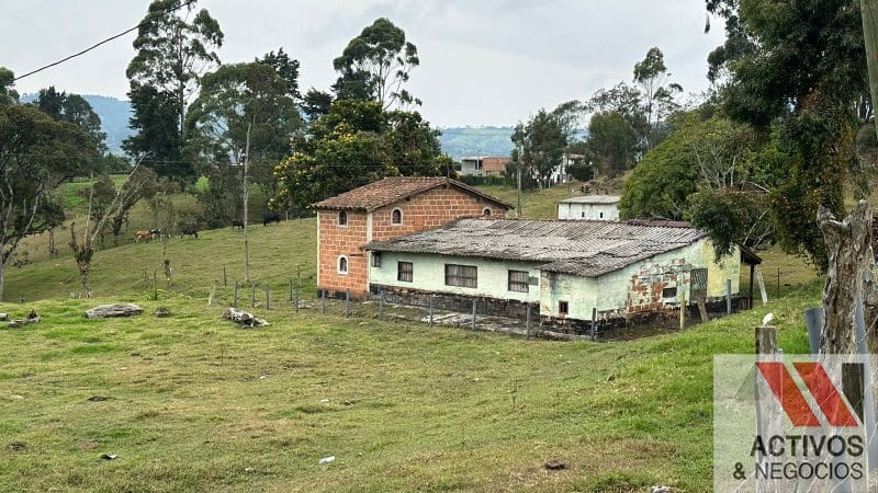 Finca en venta en San Felix, Bello, 32000 m² · foto 3 de 16