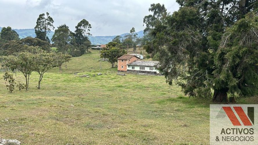Finca en venta en San Felix, Bello, 32000 m² · foto 4 de 16