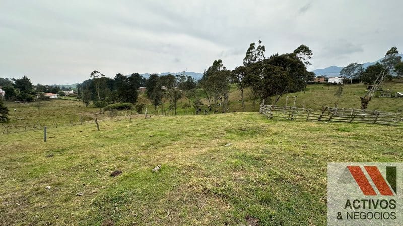 Finca en venta en San Felix, Bello, 32000 m² · foto 5 de 16
