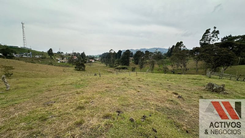 Finca en venta en San Felix, Bello, 32000 m² · foto 6 de 16