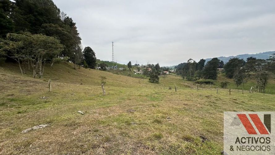 Finca en venta en San Felix, Bello, 32000 m² · foto 7 de 16
