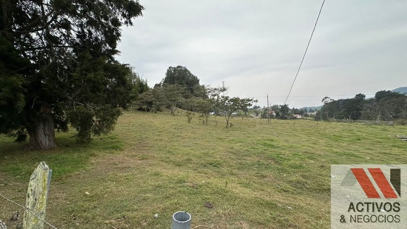 Finca en venta en San Felix, Bello, 32000 m² · foto 8 de 16