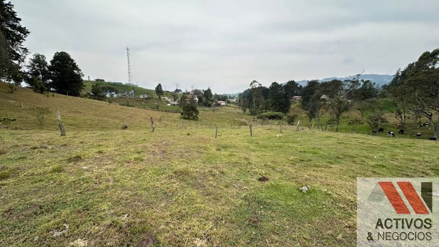 Finca en venta en San Felix, Bello, 32000 m² · foto 9 de 16