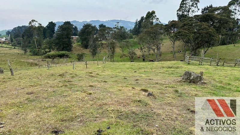 Finca en venta en San Felix, Bello, 32000 m² · foto 10 de 16