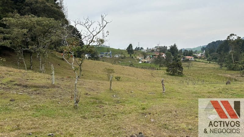Finca en venta en San Felix, Bello, 32000 m² · foto 11 de 16