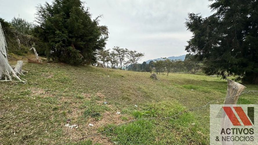 Finca en venta en San Felix, Bello, 32000 m² · foto 12 de 16