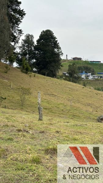 Finca en venta en San Felix, Bello, 32000 m² · foto 13 de 16