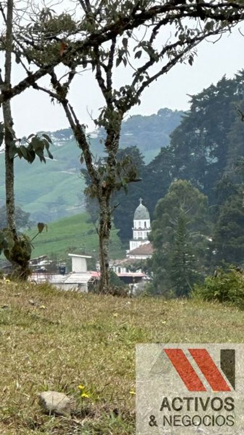 Finca en venta en San Felix, Bello, 32000 m² · foto 16 de 16
