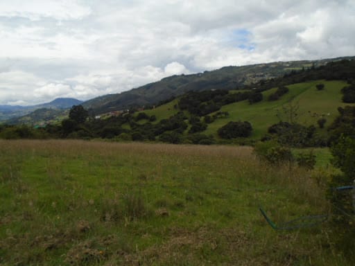 Lote en venta en Montana, Sopó, 10005 m² · foto 14 de 15