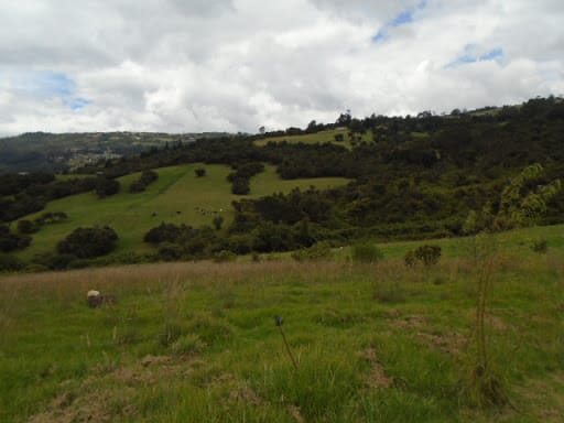 Lote en venta en Montana, Sopó, 10005 m² · foto 15 de 15