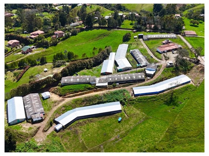 Finca en venta en San Felix, Bello, 3500 m² · foto 3 de 13
