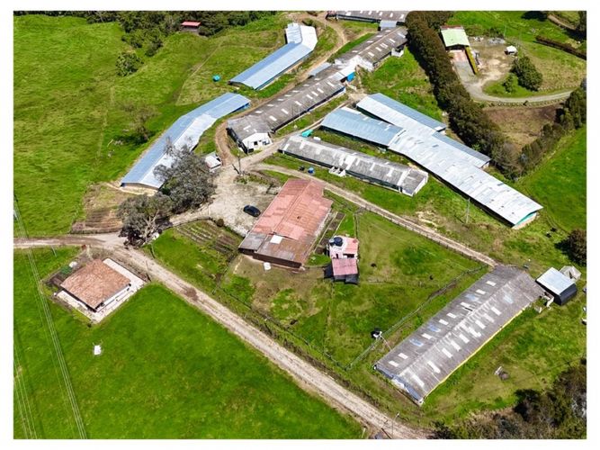 Finca en venta en San Felix, Bello, 3500 m² · foto 7 de 13