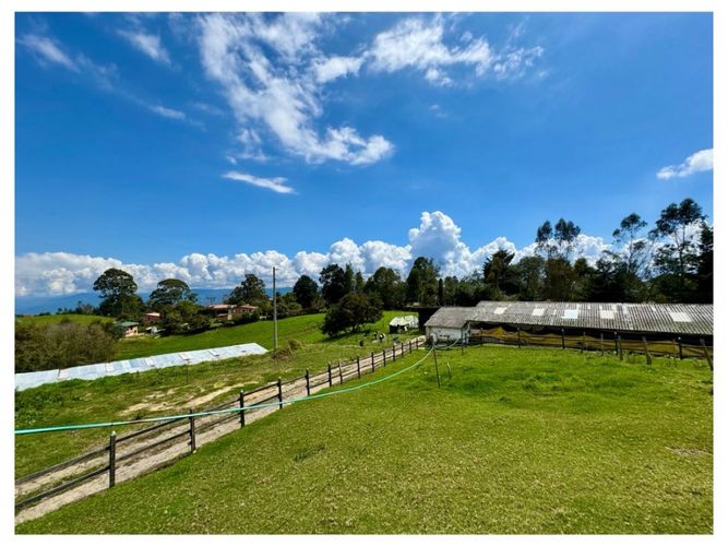Finca en venta en San Felix, Bello, 3500 m² · foto 10 de 13