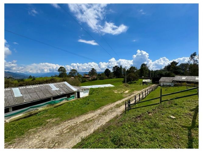 Finca en venta en San Felix, Bello, 3500 m² · foto 11 de 13
