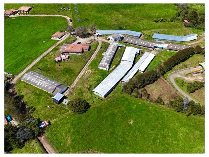 Finca en venta en San Felix, Bello, 3500 m² · foto 13 de 13