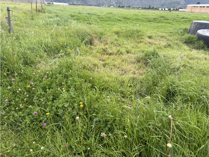 Lote en venta en Siberia, Cota, 20000 m² · foto 2 de 4