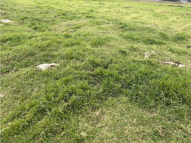 Lote en venta en Siberia, Cota, 20000 m² · foto 3 de 4