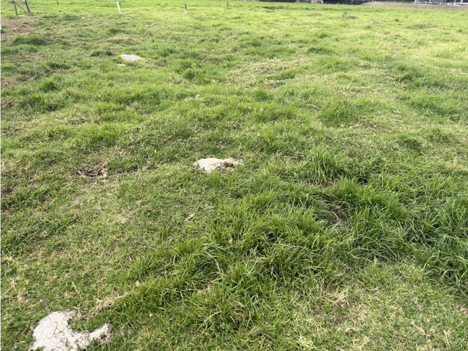 Lote en venta en Siberia, Cota, 20000 m² · foto 4 de 4