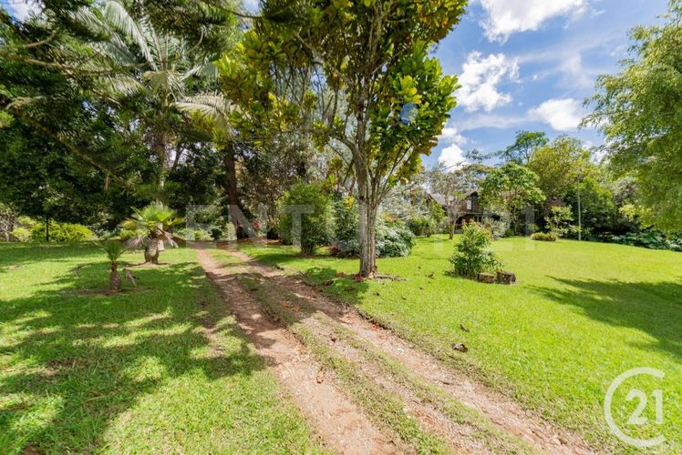 Finca en arriendo en Lomitas, La Ceja, 240 m² · foto 12 de 24