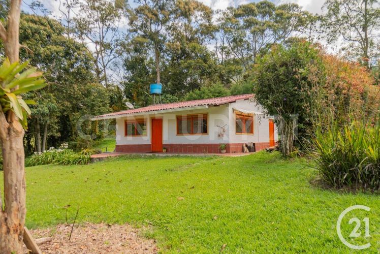 Finca en arriendo en Lomitas, La Ceja, 240 m² · foto 14 de 24