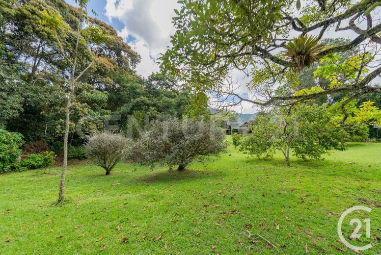 Finca en arriendo en Lomitas, La Ceja, 240 m² · foto 24 de 24
