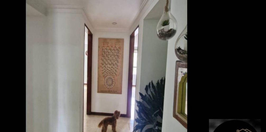 Apartamento en venta en Castropol, Medellín, 145 m² · foto 12 de 17