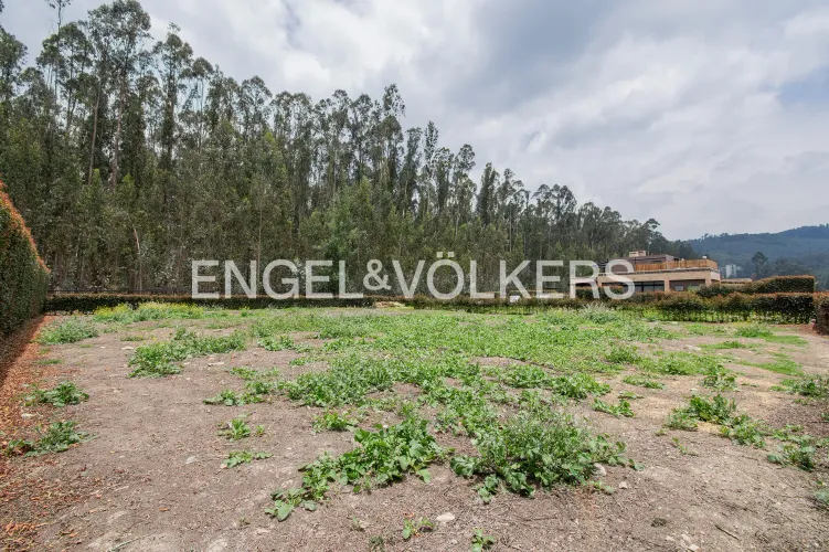 Lote en venta en Hatogrande, Sopó · foto 2 de 4