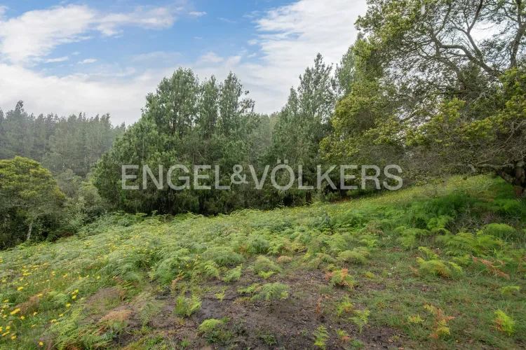 Lote en venta en Yerbabuena, Sopó · foto 4 de 8