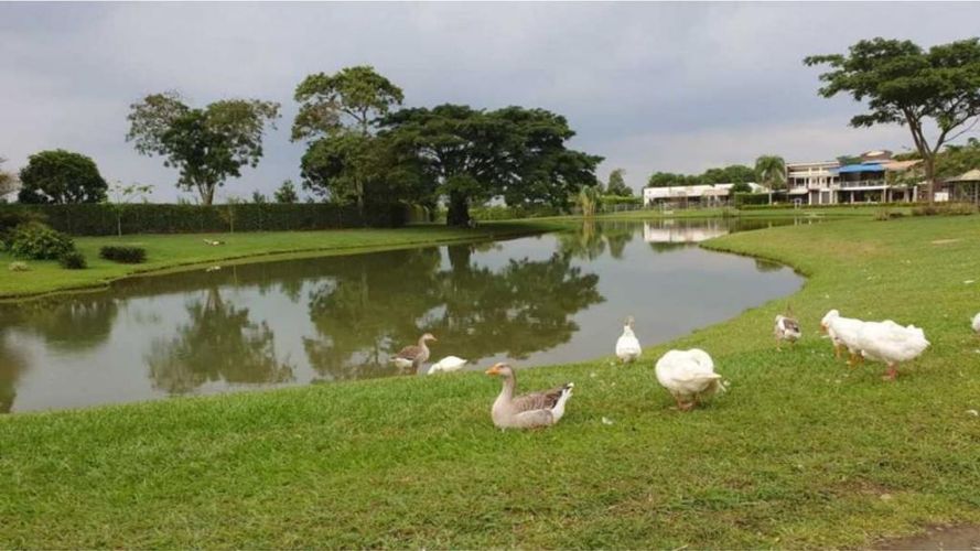 Casa de 4 alcobas en venta en Porerito, Jamundí, 290 m² · foto 21 de 24