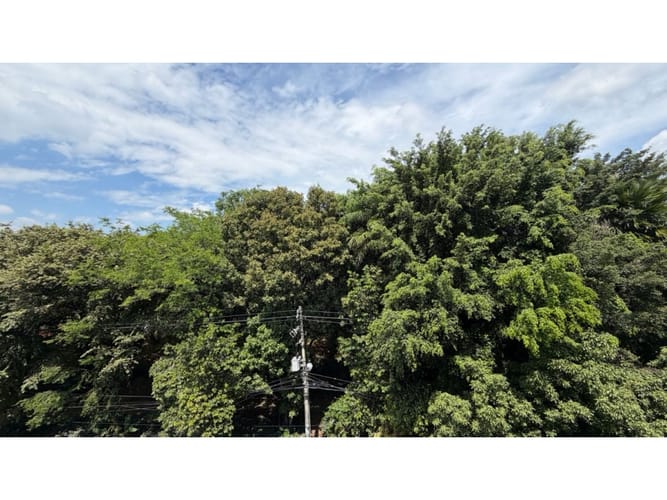 Apartamento de 3 alcobas en venta en Ciudad Jardin, Cali, 137 m² · foto 8 de 24