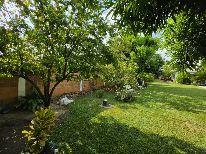 Casa de 5 alcobas en arriendo en La Torre, Palmira, 200 m² · foto 21 de 22