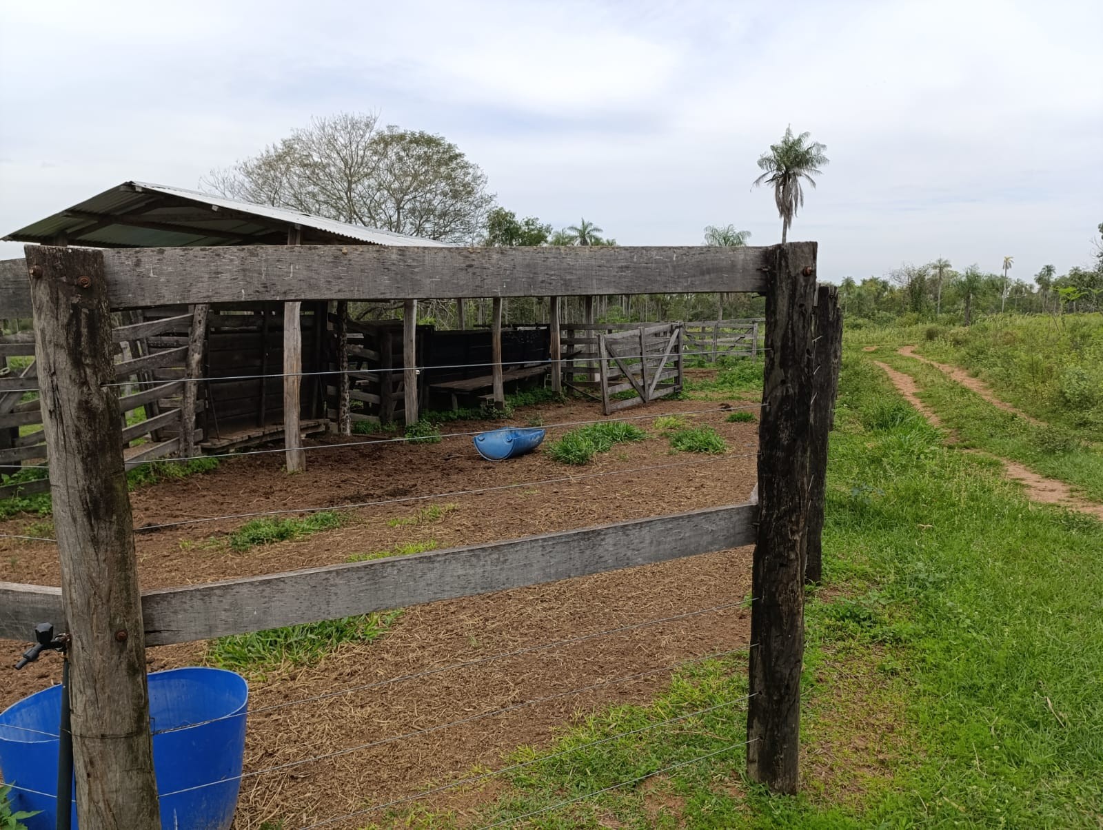 Venta Casa Campestre en Emboscada: Espacios Verdes, Pesebrera y Amplio Terreno — foto 2