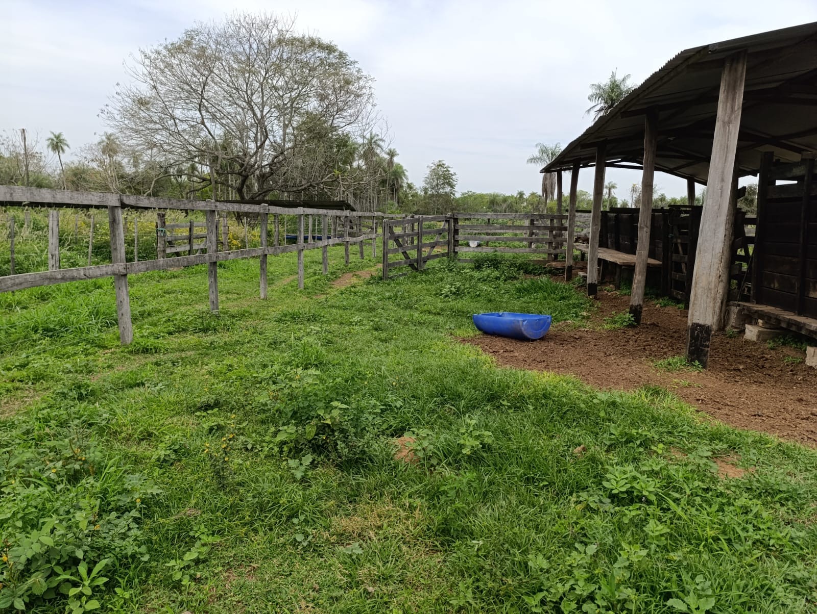 Venta Casa Campestre en Emboscada: Espacios Verdes, Pesebrera y Amplio Terreno — foto 3