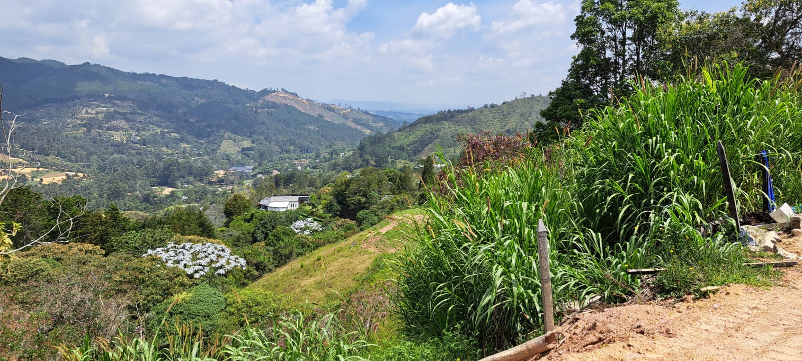 Land in Don diego (5000 m²) for Sale - 4