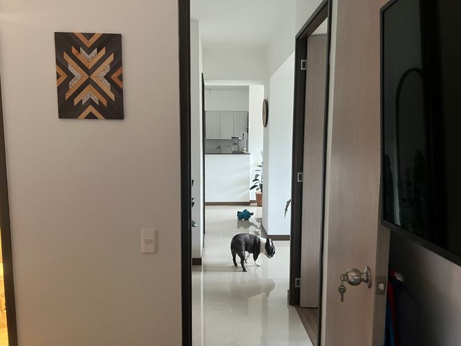 Apartamento en venta en Alto De Las Flores, Sabaneta · foto 21 de 24
